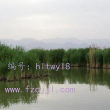 ΢