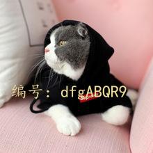 ˲