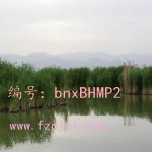 ɹ