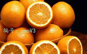 ĭ